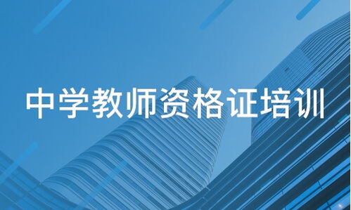 百惠通教育與淘學(xué)培訓(xùn) 教育信息咨詢(xún)服務(wù)深度解析
